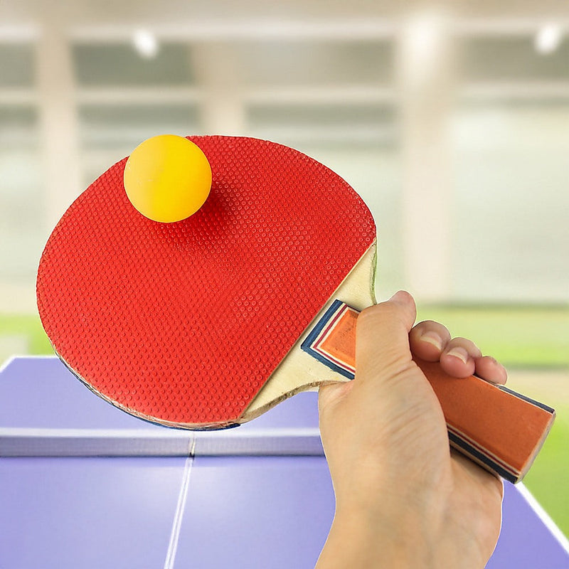 Table Tennis Game Indoor Portable Travel Ping Pong Ball Set Extendable Dropshipzone