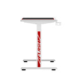 Artiss Electric Standing Desk Sit Stand Gaming Desks RGB Light